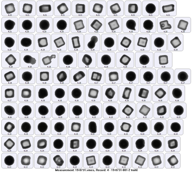 qarbone-service-poudre-granulometrie analyse des poudres, granulométrie, taille, morphologie, densité de poudre